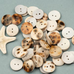 25 Botones de Concha Natural de 16 mm para Costura y Manualidades - B3077