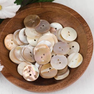 Abalone Shell Buttons - Shell Jewelry Charms - natural buttons  - 25 pieces - B3206