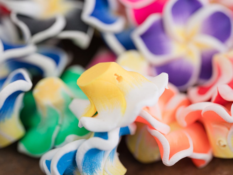 Polymer Clay Flower Beads, plumeria, mixed colors, 20mm diameter, 10 pieces B3180 image 6