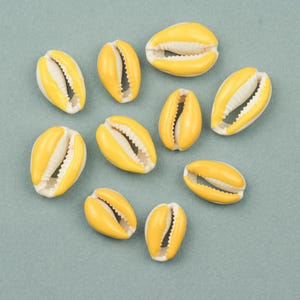 10 gelbe Kauri Muschel Perlen - natürlich, Emaille beschichtet, 20–25 mm - B2746F