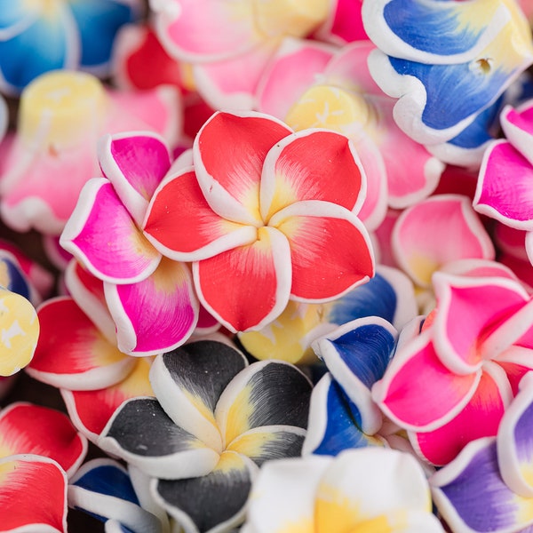 Polymer Clay  Flower  Beads, plumeria,  mixed colors, 20mm diameter, 10 pieces  - B3180