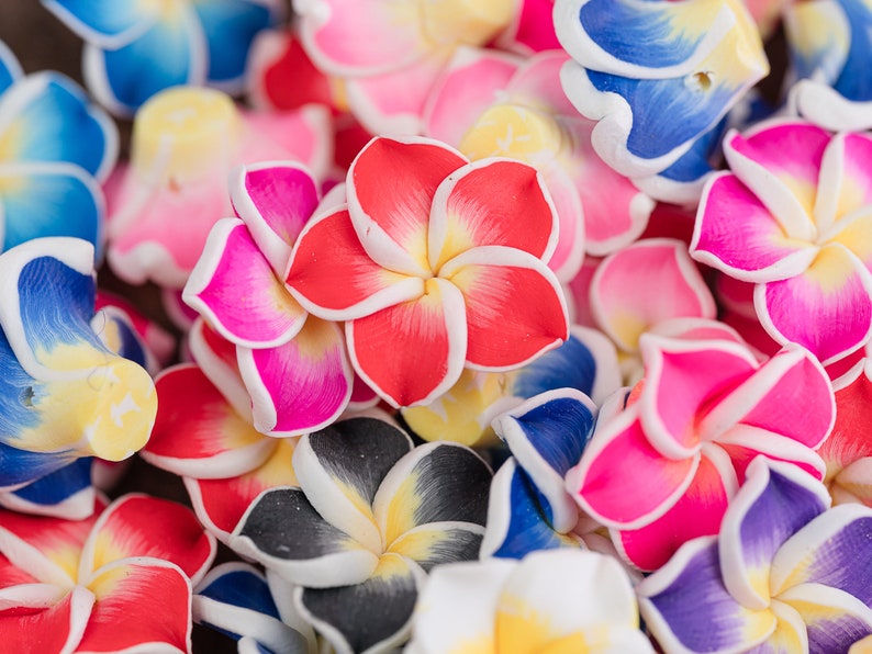 Polymer Clay Flower Beads, plumeria, mixed colors, 20mm diameter, 10 pieces B3180 image 1