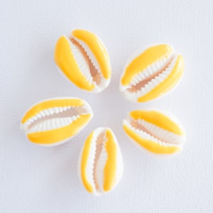 Yellow Cowrie Shell Beads, 5 pieces,  20-25mm, Natural Enamel Coated shell  - B2746F