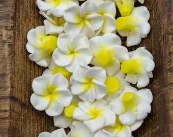 10 Plumeria Polymer Clay Flowers White 30mm