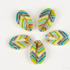 Printed Cowrie Shell Charms,    20-25mm, 5 pieces - B2746L