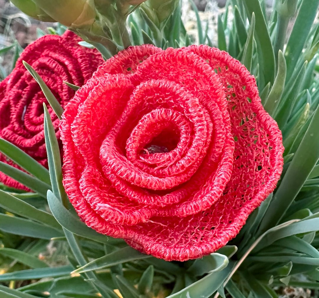 3D Lace Flower Machine Embroidery Design, FSL Rose, DIY Home Decor ...