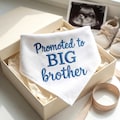 Personalized Promoted To Big Brother Dog Bandana, Embroidered Dog Pregnancy Announcement, Baby Coming Soon Puppy Outfit, Baby Reveal Gift