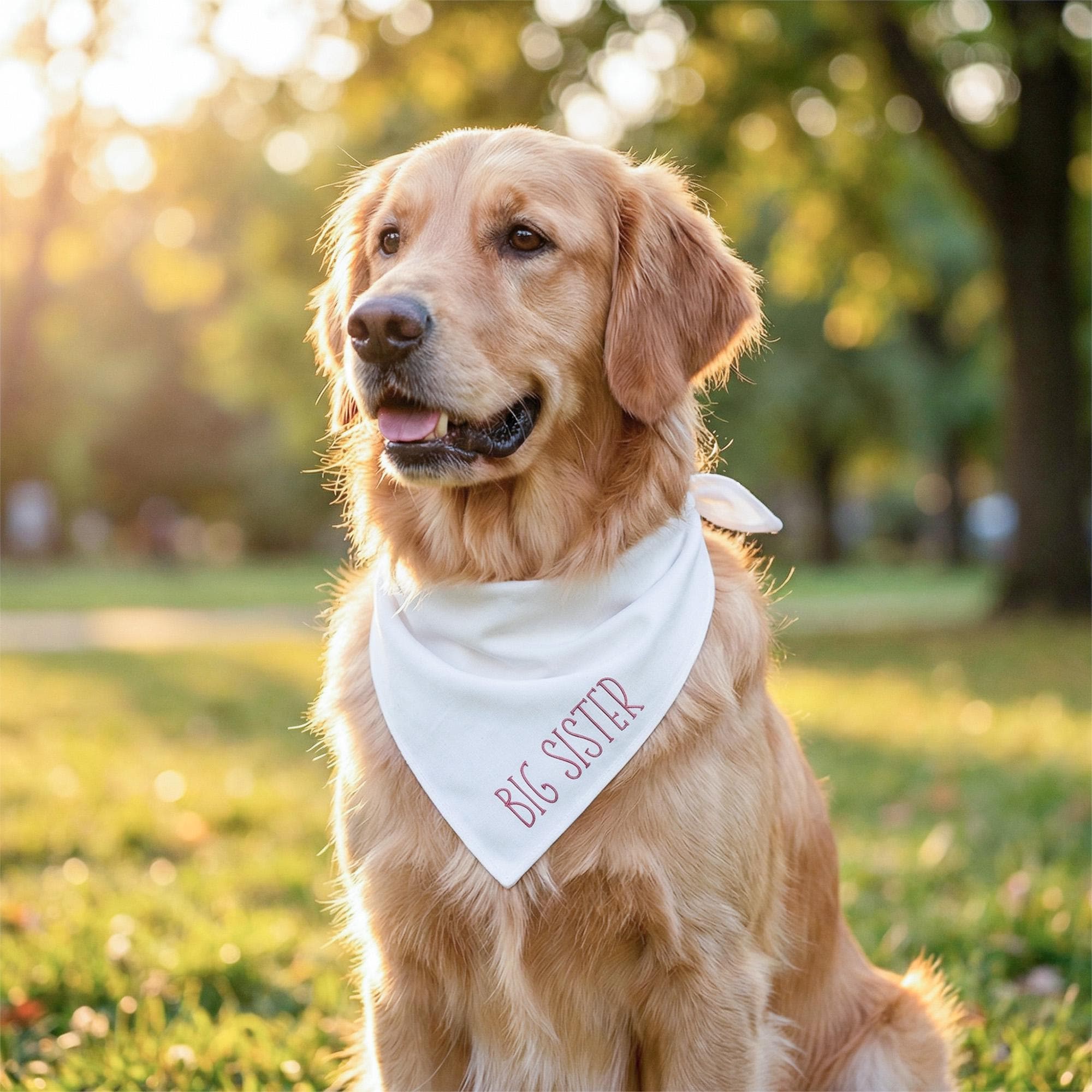 Embroidered Big Sister Dog Bandana - Pregnancy Announcement, Gender Reveal keepsake