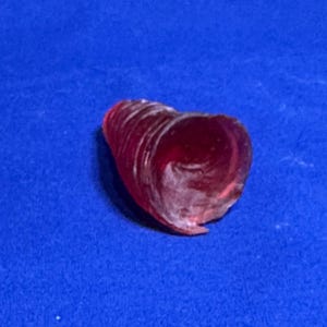 May include: A close-up of a red, spiral-shaped glass object. The object is translucent and has a smooth, glossy finish.