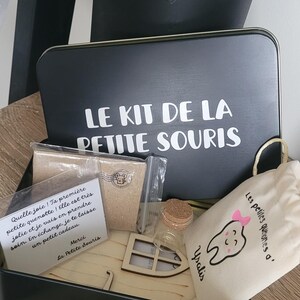 Little Mouse Kit