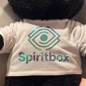 custom emo inspired SB bear shirt