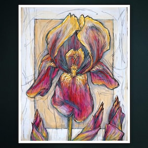 Iris - Print 8&quot;x10&quot;
