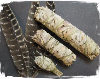 Sage Incense 50  sticks Fresh Wild Green Scent of Sage with free sample