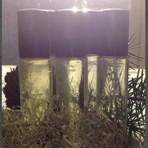 OMG Fragrance Oil for Women -1 or 1/3 oz roller image 3