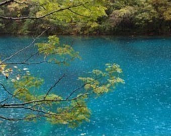 China Rain Incense 50 sticks  with free sample