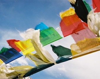 Nag Champa Incense 50 sticks per bag   with free sample