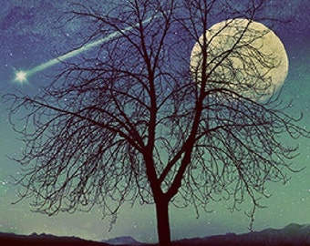 TWILIGHT in the WOODS Incense 50 sticks  with free sample