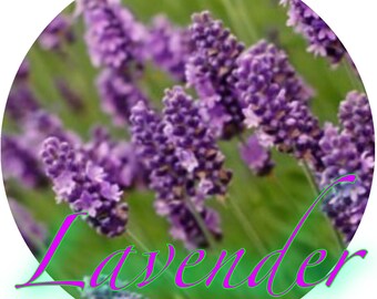 May include: A close-up image of a field of lavender flowers in bloom. The flowers are a vibrant purple color and are arranged in clusters. The word "Lavender" is written in a bright green and pink font across the bottom of the image.