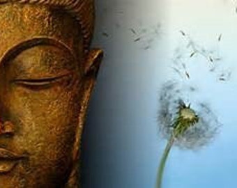 Indian Sandalwood Incense 50 sticks  with free sample