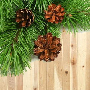 May include: Close-up of a pine branch with three brown pine cones. The branch is against a light brown wood background.