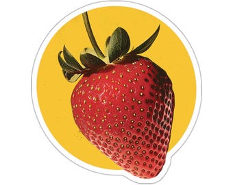 Vintage Strawberry Sticker – Retro Fruit Vinyl Decal
