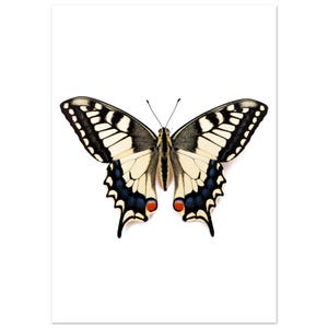 Póster de papel mate de primera calidad con diseño de mariposas en tamaños A4, A3, A2, A1 y 50 x 70