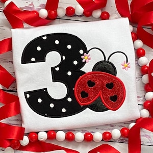 Ladybug birthday shirt - girls ladybug shirt