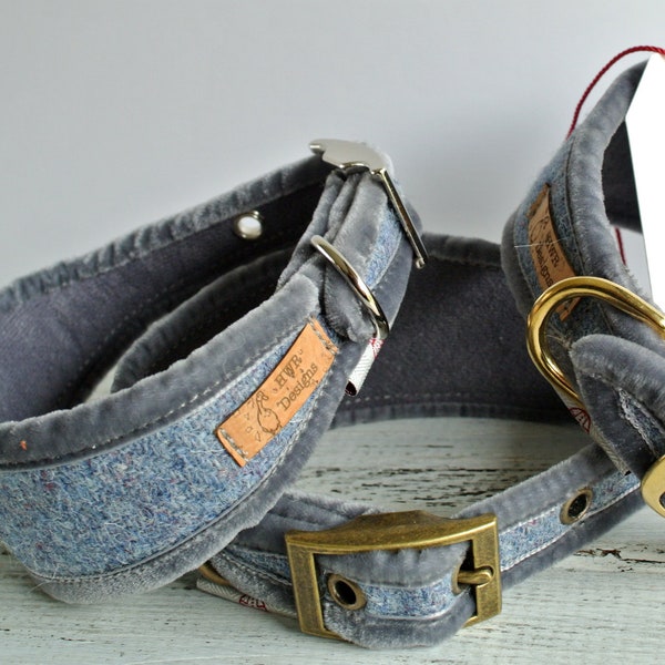 Slate grey blue Greyhound collar, Sighthound Collar, Harris Tweed collar for whippet, Gazehound collar, Galgos, Italian Greyhound