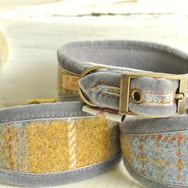 Collar Harris Tweed para galgos: acolchado gris y mostaza