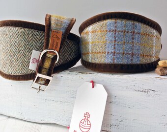 sighthound dog collars