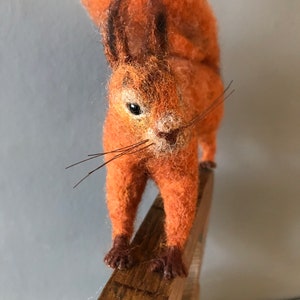 R is for Red Squirrel. Needlefelted red squirrel image 3