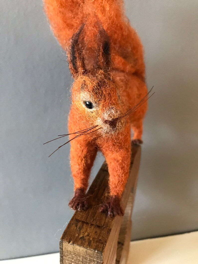 R is for Red Squirrel. Needlefelted red squirrel image 3