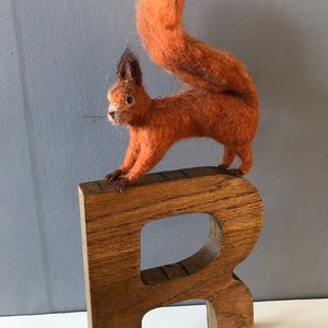 R is for Red Squirrel. Needlefelted red squirrel image 1