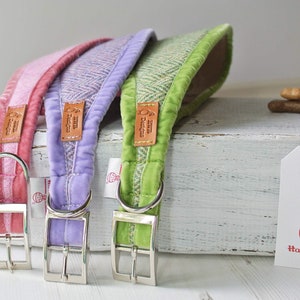 May include: Three dog collars made of tweed fabric with a velvet lining. The collars are in pink, lavender, and green. Each collar has a silver buckle and a leather tag with the text "Harris Tweed" on it. The collars are on a white wooden surface with a white tag that says "#HarrisTweed" on it.
