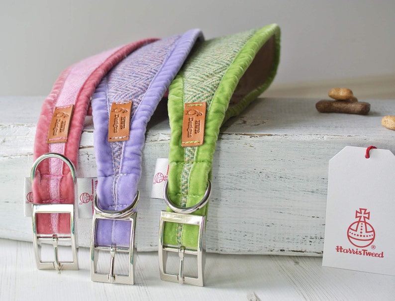 May include: Three dog collars made of tweed fabric with a velvet lining. The collars are in pink, lavender, and green. Each collar has a silver buckle and a leather tag with the text "Harris Tweed" on it. The collars are on a white wooden surface with a white tag that says "#HarrisTweed" on it.