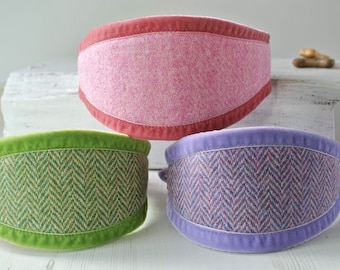 Harris Tweed Sighthound Collar: Velvet Trimmed Whippet Collar