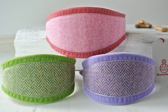 Harris Tweed Sighthound Collar: Velvet Trimmed Whippet Collar