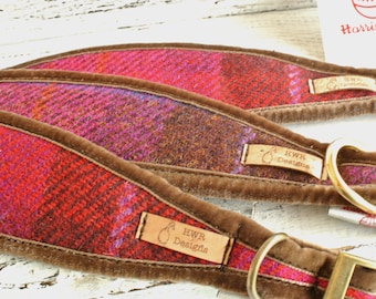 Cerise Harris Tweed Greyhound Collar: Padded Sighthound Collar