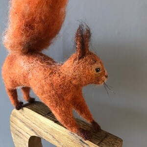 R is for Red Squirrel. Needlefelted red squirrel image 2