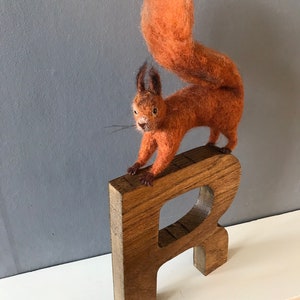 R is for Red Squirrel. Needlefelted red squirrel image 4