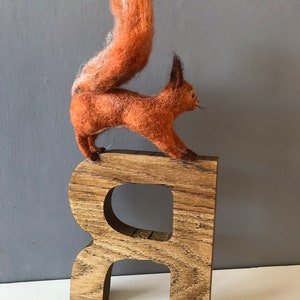 R is for Red Squirrel. Needlefelted red squirrel zdjęcie 5
