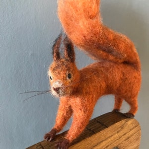 R is for Red Squirrel. Needlefelted red squirrel image 6