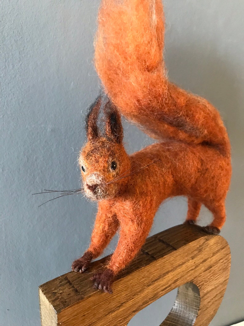 R is for Red Squirrel. Needlefelted red squirrel image 6