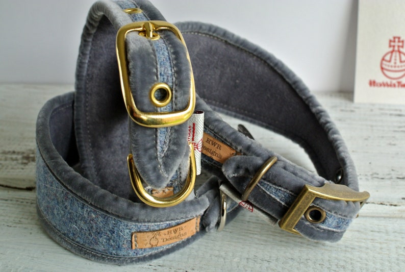 Slate grey blue Greyhound collar, Sighthound Collar, Harris Tweed collar for whippet, Gazehound collar, Galgos, Italian Greyhound image 6