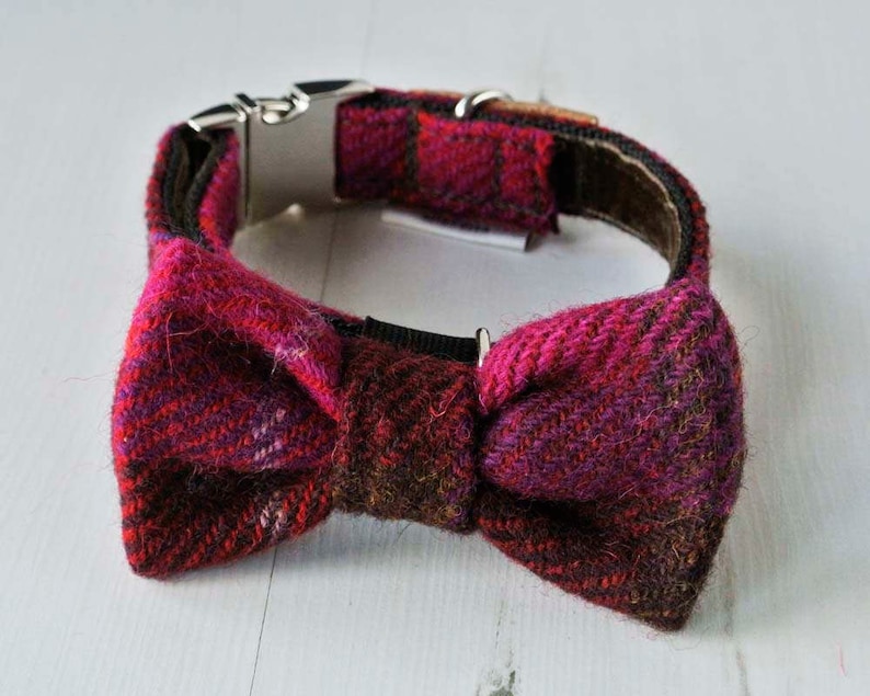 dickie bow tie for dogs
