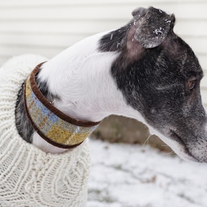 Slate grey blue Greyhound collar, Sighthound Collar, Harris Tweed collar for whippet, Gazehound collar, Galgos, Italian Greyhound image 3