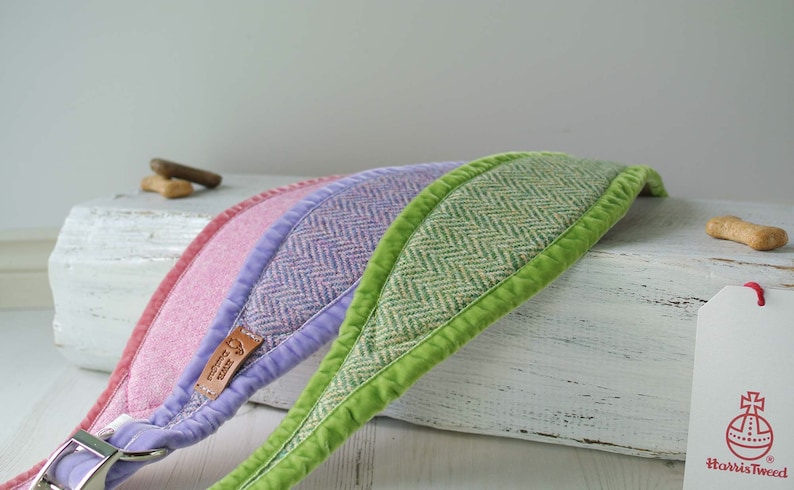 May include: Three dog collars made of tweed fabric with a herringbone pattern. The collars are in pink, purple, and green. The collars have a velvet trim and are lined with a soft, plush fabric. The collars are displayed on a white wooden surface.