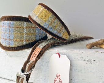 Harris Tweed Sighthound Collar: Padded Velvet Edges