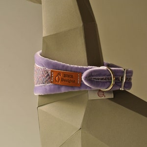 May include: A purple velvet dog collar with a tweed lining and a brown leather tag that says "HWR Designs".