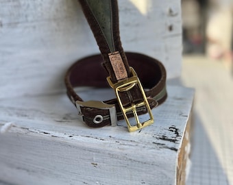 Olive Green Cork Leather Sighthound Collar, Vegan Dog Collar